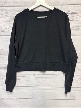 Aritzia Community cropped Longsleeve